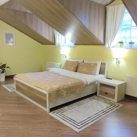 Сонячна Мансарда Apartment Kamianets-Podilskyi Exterior photo